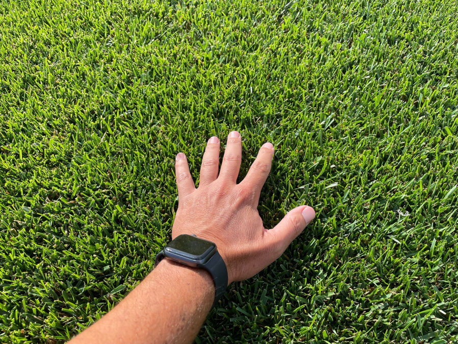 GAZON EN ROULEAU NANTES